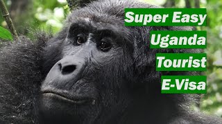 How to complete the Uganda Tourist E-Visa Application