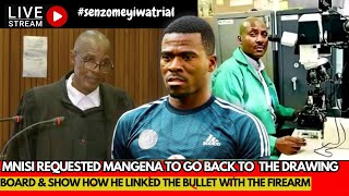 Senzo Meyiwa Trial: Is Ratha a stumbling block to justice, Mangena to demonstrate his findings.