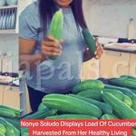 Anambra State First Lady, Nonye Soludo Shows Off Bountiful Harvest From Her Cucumber Farm (VID)