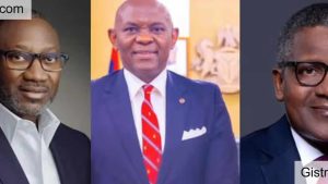 FG Chooses Business Leaders, Dangote, Otedola, Elumelu To Lead Efforts To Eradicate Malaria