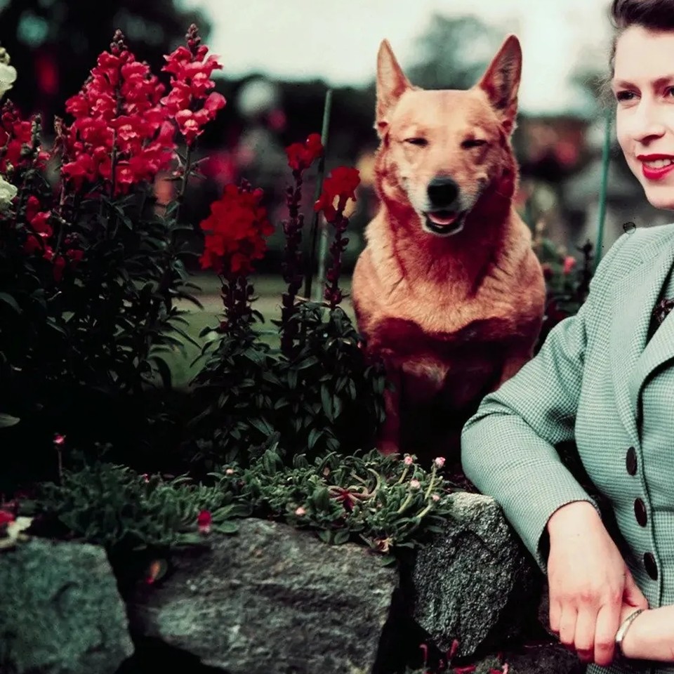 BREAKING: Queen Elizabeth has died