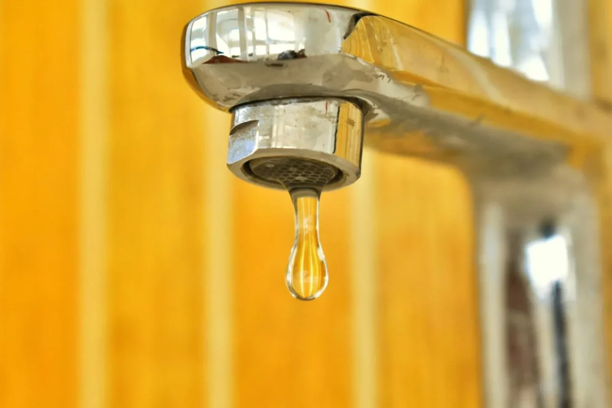 Water Restrictions 1536×1024.jpg 1200×800 1.webp.webp